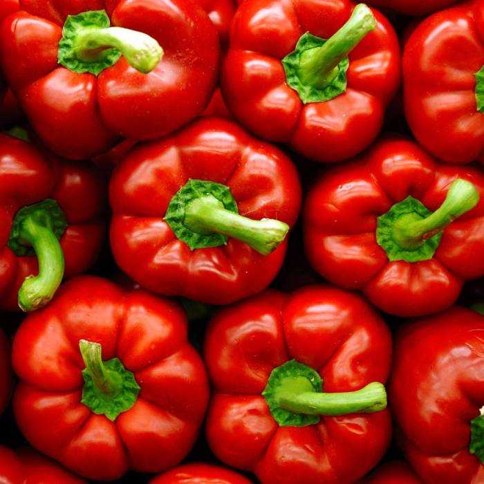 Trikaya Capsicum Red| 250 – 300 g