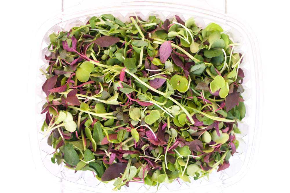 Trikaya Microgreen Mix | 50 g