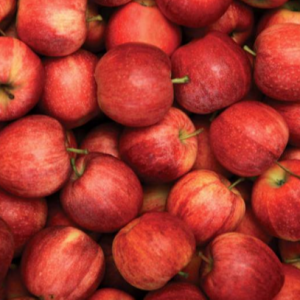Premium Apple | 1 Kg